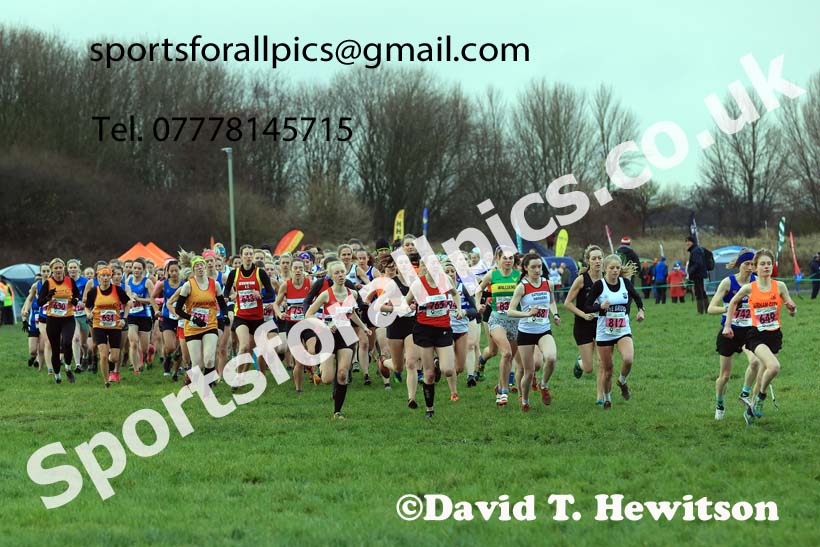 Senior womens 2023 North Eastern Cross Country Champs., Temple Park, South Shields. Photo: David T. Hewitson/Sports for All Pics